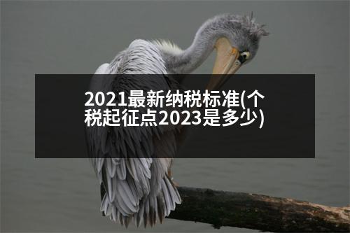 2021最新納稅標(biāo)準(zhǔn)(個(gè)稅起征點(diǎn)2023是多少)