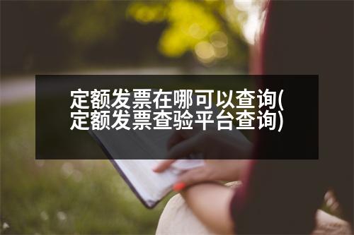 定額發(fā)票在哪可以查詢(定額發(fā)票查驗平臺查詢)