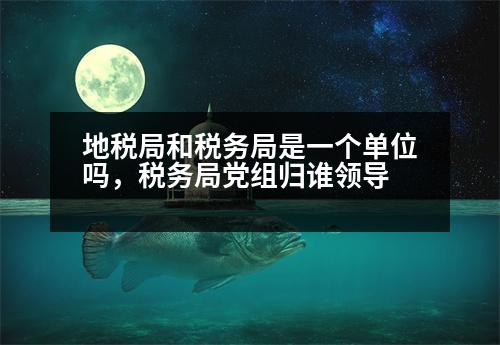 地稅局和稅務(wù)局是一個(gè)單位嗎，稅務(wù)局黨組歸誰領(lǐng)導(dǎo)