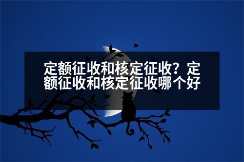 定額征收和核定征收？定額征收和核定征收哪個(gè)好