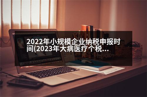 2022年小規(guī)模企業(yè)納稅申報時間(2023年大病醫(yī)療個稅什么時候填)