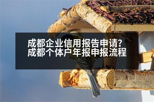 成都企業(yè)信用報(bào)告申請(qǐng)？成都個(gè)體戶年報(bào)申報(bào)流程