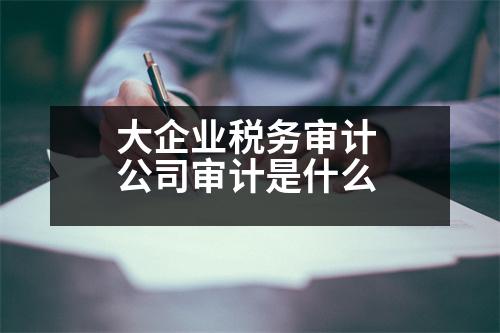 大企業(yè)稅務(wù)審計 公司審計是什么