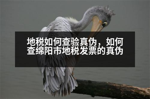 地稅如何查驗真?zhèn)?，如何查綿陽市地稅發(fā)票的真?zhèn)?></p><p style=