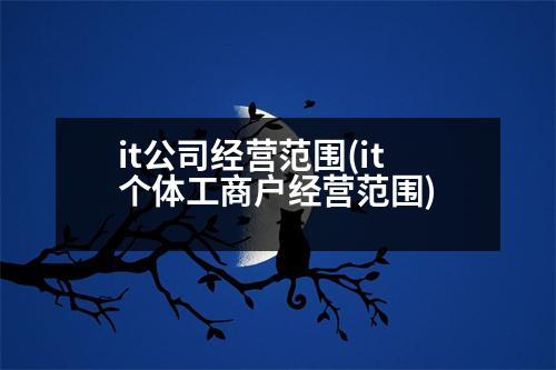 it公司經(jīng)營(yíng)范圍(it個(gè)體工商戶經(jīng)營(yíng)范圍)