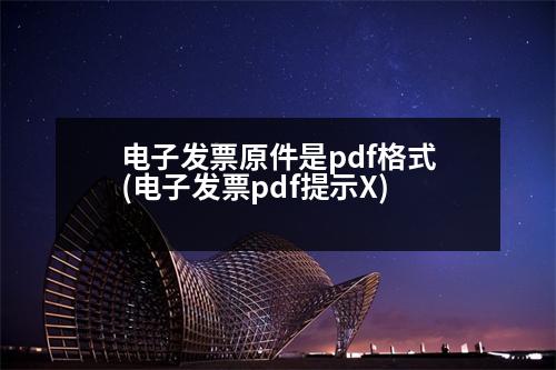 電子發(fā)票原件是pdf格式(電子發(fā)票pdf提示X)