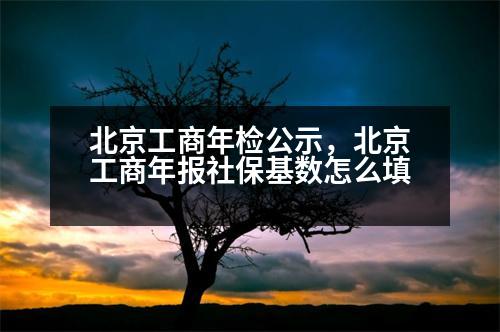 北京工商年檢公示，北京工商年報(bào)社?；鶖?shù)怎么填