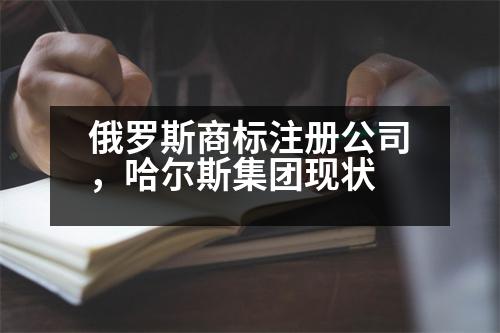 俄羅斯商標(biāo)注冊(cè)公司，哈爾斯集團(tuán)現(xiàn)狀