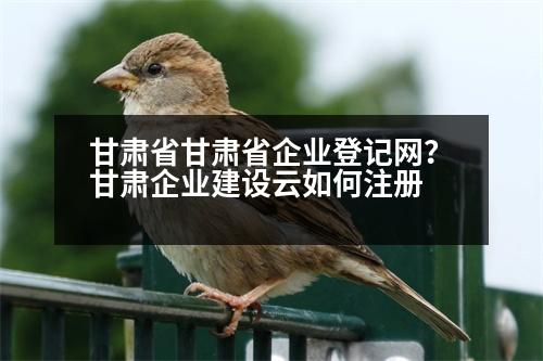 甘肅省甘肅省企業(yè)登記網(wǎng)？甘肅企業(yè)建設(shè)云如何注冊