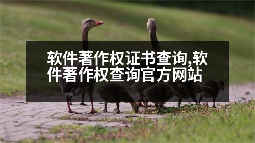 軟件著作權(quán)證書查詢,軟件著作權(quán)查詢官方網(wǎng)站