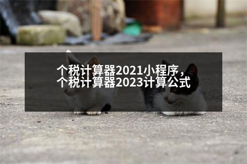 個稅計算器2021小程序，個稅計算器2023計算公式