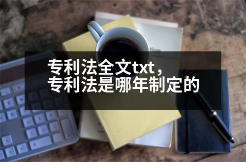 專利法全文txt，專利法是哪年制定的