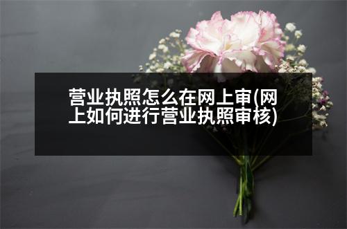 營業(yè)執(zhí)照怎么在網(wǎng)上審(網(wǎng)上如何進行營業(yè)執(zhí)照審核)