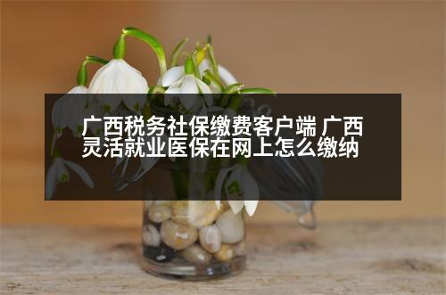 廣西稅務(wù)社保繳費客戶端 廣西靈活就業(yè)醫(yī)保在網(wǎng)上怎么繳納