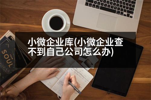 小微企業(yè)庫(小微企業(yè)查不到自己公司怎么辦)