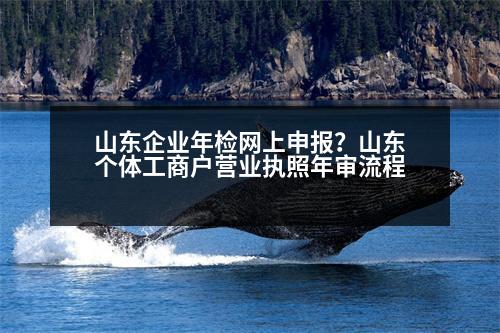 山東企業(yè)年檢網(wǎng)上申報？山東個體工商戶營業(yè)執(zhí)照年審流程