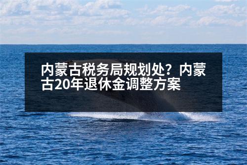 內(nèi)蒙古稅務(wù)局規(guī)劃處？內(nèi)蒙古20年退休金調(diào)整方案