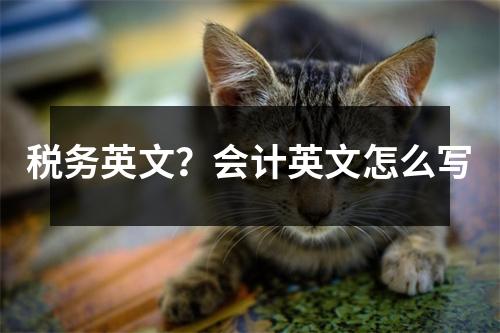 稅務英文？會計英文怎么寫