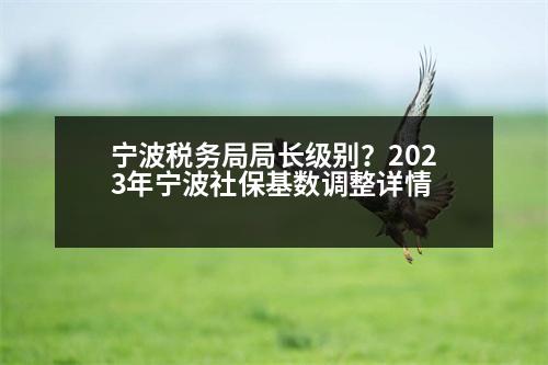 寧波稅務(wù)局局長級別？2023年寧波社?；鶖?shù)調(diào)整詳情