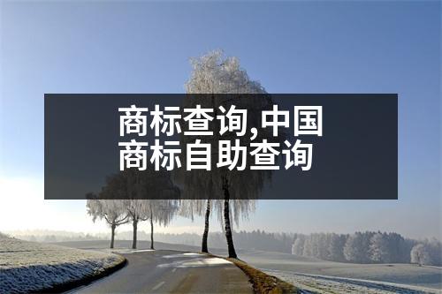 商標(biāo)查詢,中國商標(biāo)自助查詢