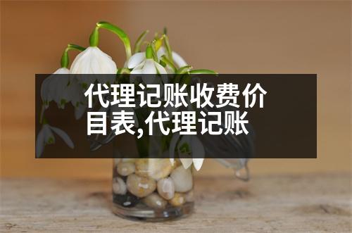 代理記賬收費(fèi)價(jià)目表,代理記賬