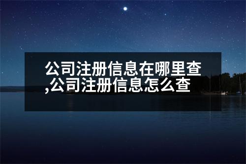 公司注冊(cè)信息在哪里查,公司注冊(cè)信息怎么查