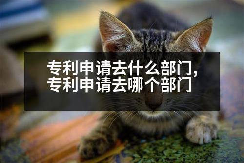 專利申請(qǐng)去什么部門,專利申請(qǐng)去哪個(gè)部門