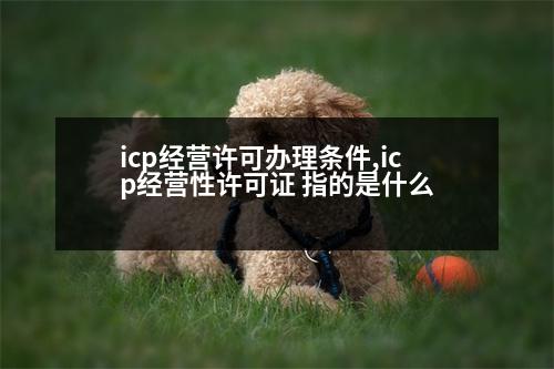 icp經(jīng)營許可辦理條件,icp經(jīng)營性許可證 指的是什么