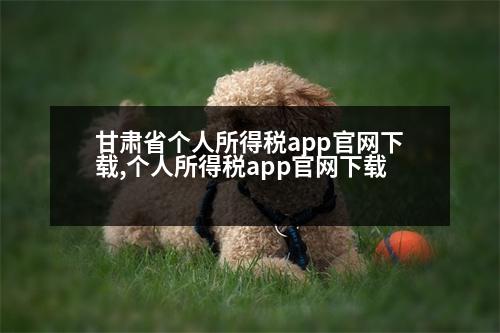 甘肅省個人所得稅app官網(wǎng)下載,個人所得稅app官網(wǎng)下載