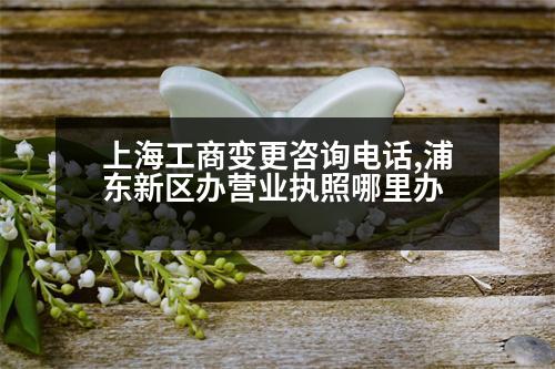 上海工商變更咨詢電話,浦東新區(qū)辦營業(yè)執(zhí)照哪里辦