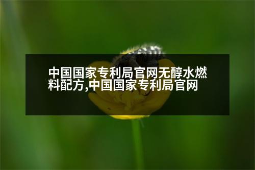 中國國家專利局官網(wǎng)無醇水燃料配方,中國國家專利局官網(wǎng)