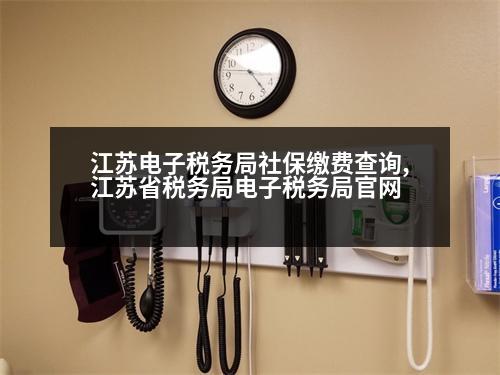 江蘇電子稅務(wù)局社保繳費查詢,江蘇省稅務(wù)局電子稅務(wù)局官網(wǎng)