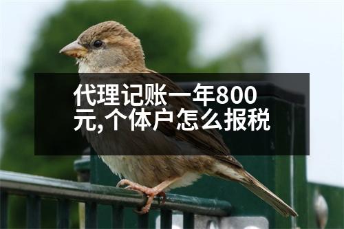 代理記賬一年800元,個(gè)體戶怎么報(bào)稅