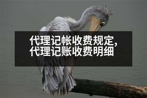 代理記帳收費規(guī)定,代理記賬收費明細