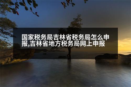 國家稅務(wù)局吉林省稅務(wù)局怎么申報(bào),吉林省地方稅務(wù)局網(wǎng)上申報(bào)