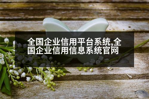 全國企業(yè)信用平臺系統(tǒng),全國企業(yè)信用信息系統(tǒng)官網(wǎng)