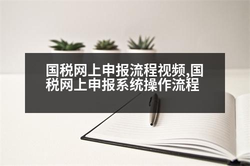 國(guó)稅網(wǎng)上申報(bào)流程視頻,國(guó)稅網(wǎng)上申報(bào)系統(tǒng)操作流程