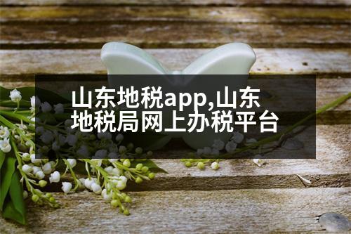 山東地稅app,山東地稅局網(wǎng)上辦稅平臺(tái)