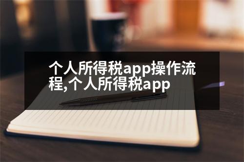 個(gè)人所得稅app操作流程,個(gè)人所得稅app