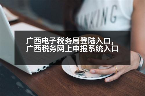 廣西電子稅務(wù)局登陸入口,廣西稅務(wù)網(wǎng)上申報系統(tǒng)入口