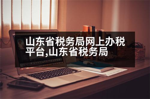 山東省稅務(wù)局網(wǎng)上辦稅平臺,山東省稅務(wù)局