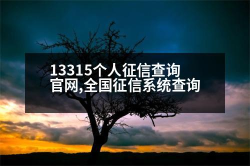 13315個(gè)人征信查詢官網(wǎng),全國(guó)征信系統(tǒng)查詢