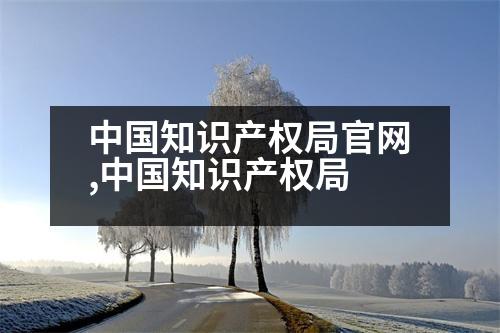 中國(guó)知識(shí)產(chǎn)權(quán)局官網(wǎng),中國(guó)知識(shí)產(chǎn)權(quán)局