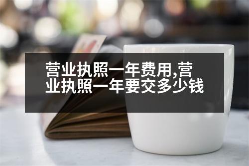 營業(yè)執(zhí)照一年費(fèi)用,營業(yè)執(zhí)照一年要交多少錢