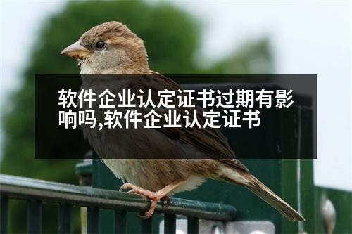 軟件企業(yè)認(rèn)定證書過期有影響嗎,軟件企業(yè)認(rèn)定證書