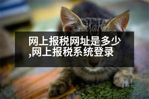 網上報稅網址是多少,網上報稅系統(tǒng)登錄