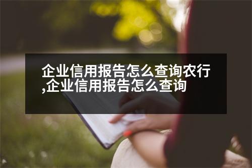 企業(yè)信用報(bào)告怎么查詢農(nóng)行,企業(yè)信用報(bào)告怎么查詢