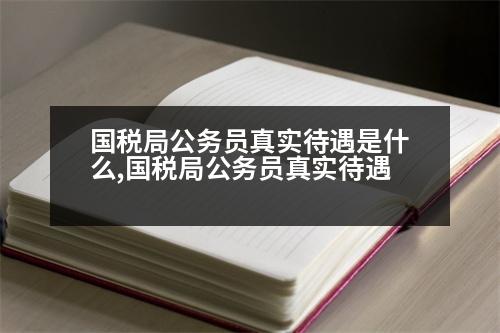 國稅局公務(wù)員真實待遇是什么,國稅局公務(wù)員真實待遇