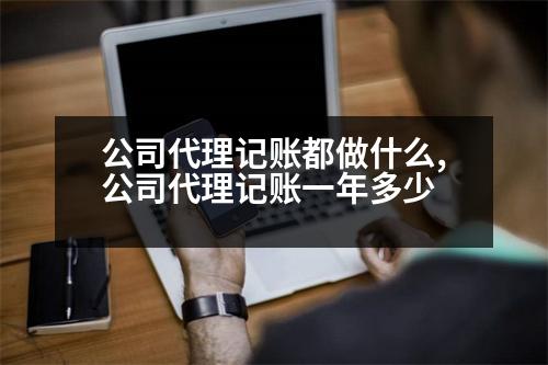 公司代理記賬都做什么,公司代理記賬一年多少