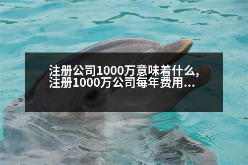 注冊公司1000萬意味著什么,注冊1000萬公司每年費用多少